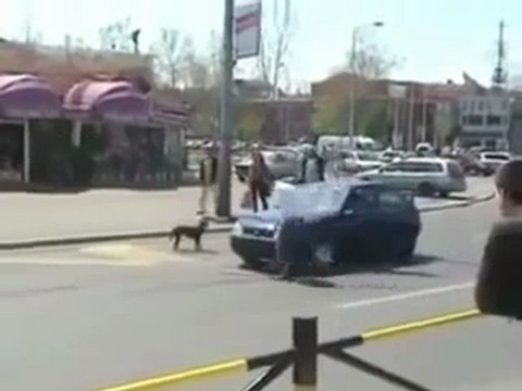 Собаки-гопники