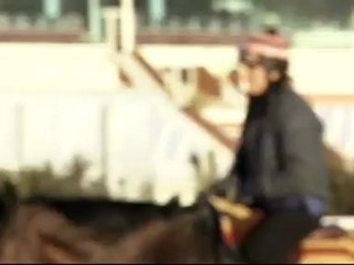 Delphine Guégan - Choix du métier d'ostéopathe équine