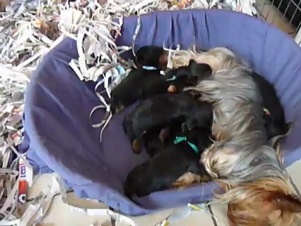 MA PORTEE DU 25/06/2012 bientôt 3 semaines