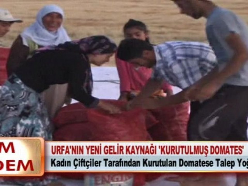 URFA'NIN YENİ GELİR KAYNAĞI 'KURUTULMUŞ DOMATES'