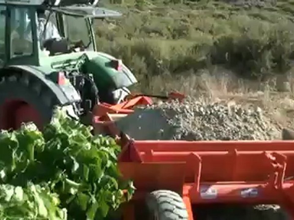 Scraper vigne et arbre - 3