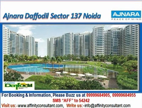 Ajnara Daffodil Sector 137 Noida @ +919999684905, ajnara daffodil noida