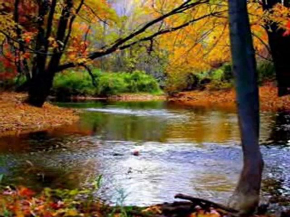 MUNZUR DAĞI SİLELENMİŞ KARİNEN