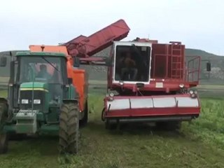 Trémie - LOS ANTONIOS - Partie 2