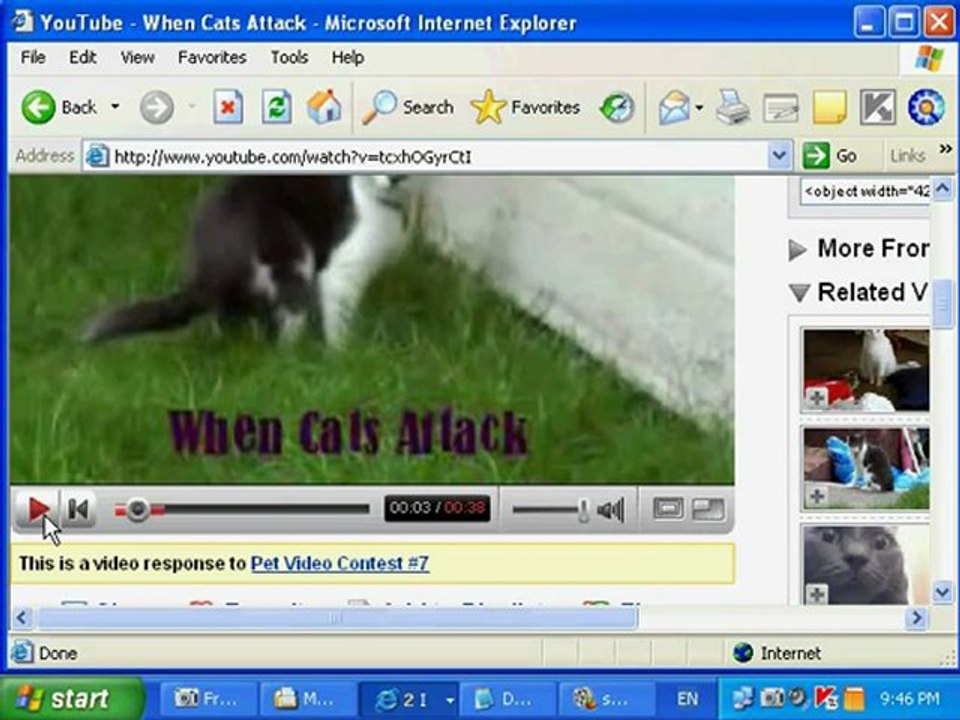 Download  Videos to your PC, iPod, PSP, Mobile