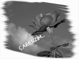 Gökhan  SEZEN      "Caresizim  "