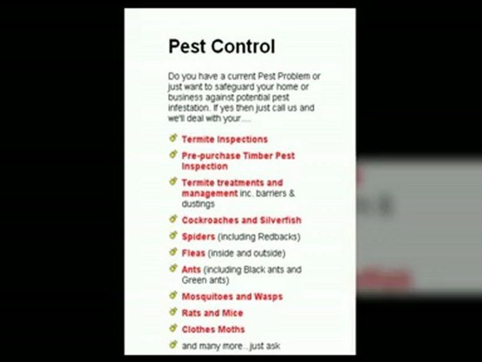 Pest Control Service in Brisbane