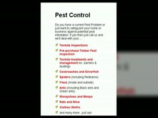 Pest Control Service in Brisbane