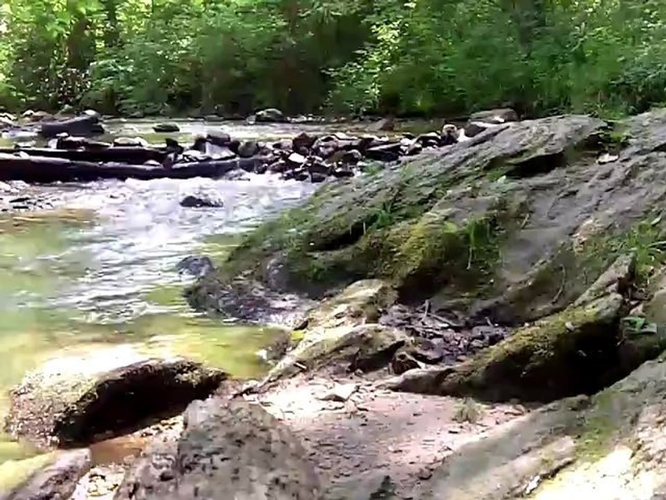 Mountain Stream Zen
