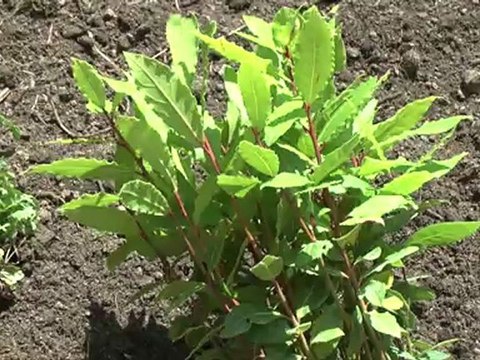 Chantiers d'Insertion au 205-207 rue Saint-Denis