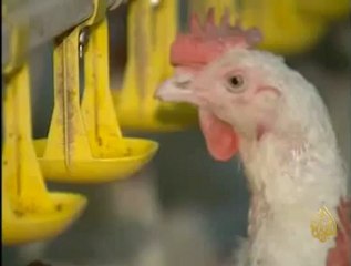 طرح أسهـم "بنـك الخير" للاكتتاب العام بالسودان