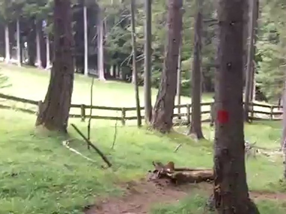 Wanderung - Motivation zum Erfolg Ernst Crameri