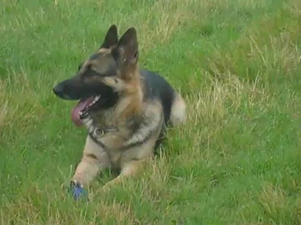 Béryl 5 ans et demi