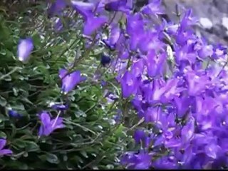 Владикавказ. ГТРК "Алания". "ПунктИр"