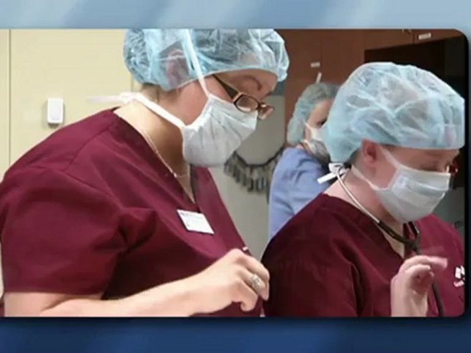 Veterinary School at Broadview University