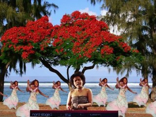 DODOL   -   Océan Indien en force