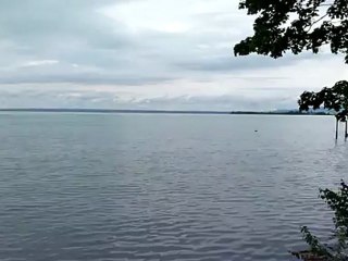 Le Lac de Constance vers Horn