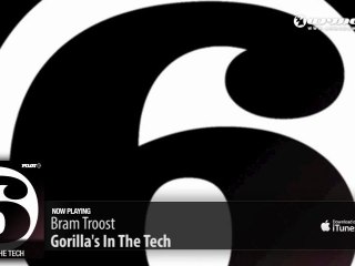 Bram Troost - Gorilla's In The Tech (Original Mix)