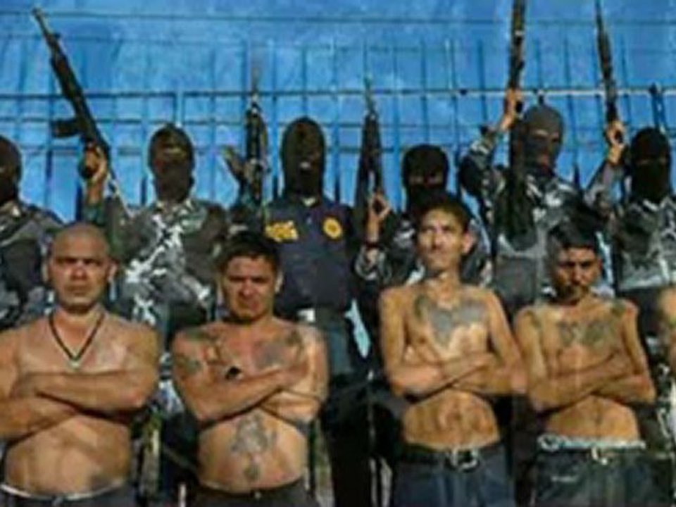 Perfect dictatorship mexico_xvid