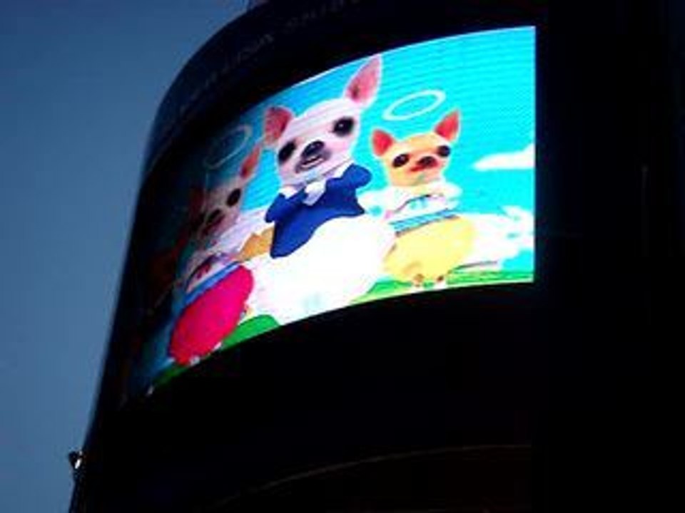 Shibuya !!! Shibuya !!!