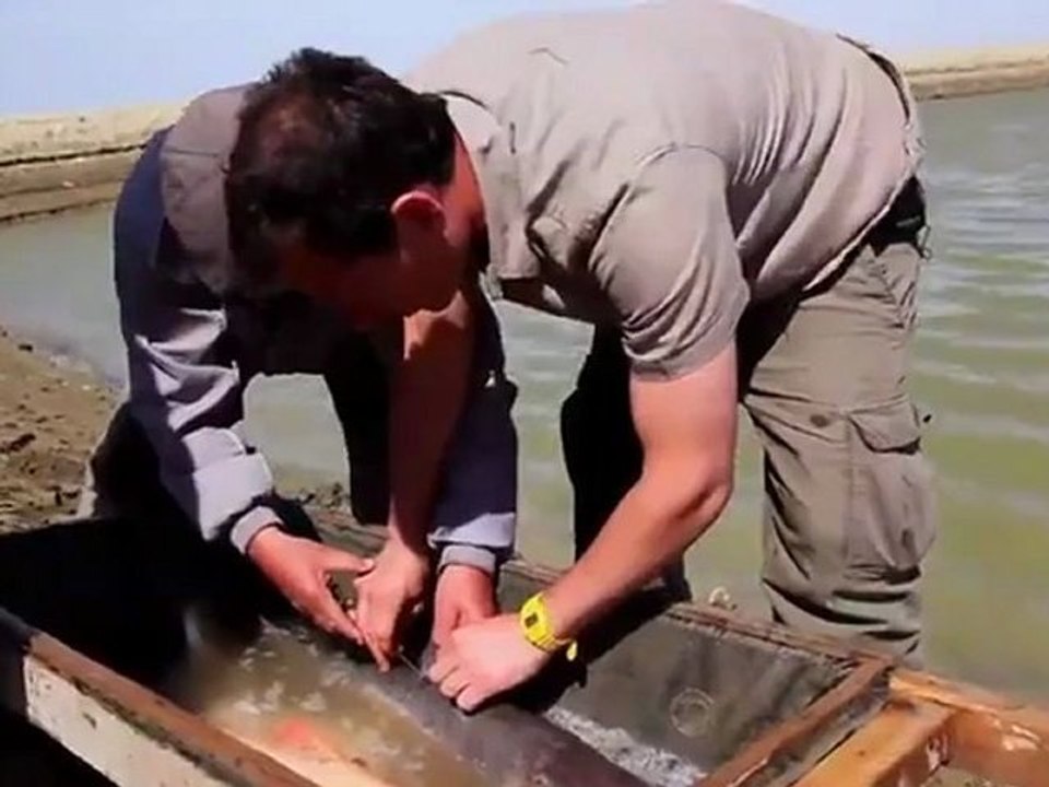 earthrise - Aral Sea Reborn