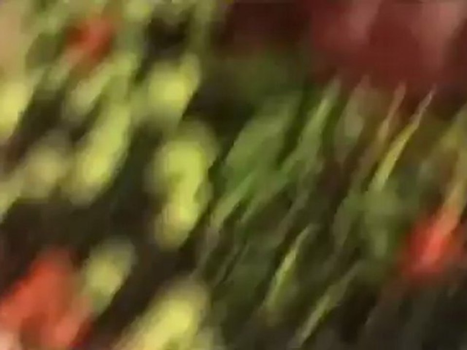 Syria فري برس  دمشق اثار الدمار في حي التضامن وحرق المحلات التجارية في حي التضامن  16 7 2012 Damascus