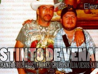 VARIOS - INSTINTO DE VENADO