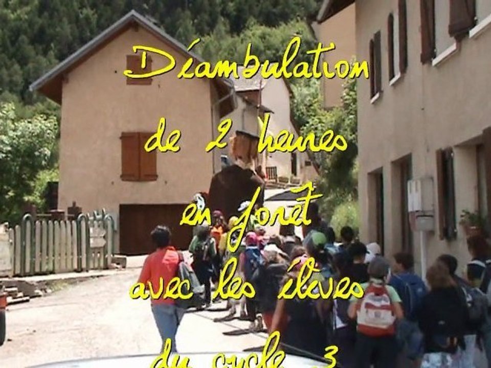 deambulation en foret