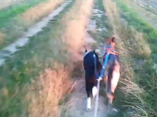 Canicross première! après 20min