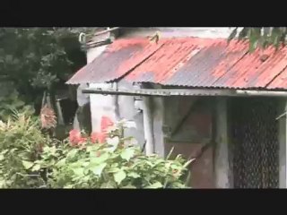 La Dame des Caraïbes