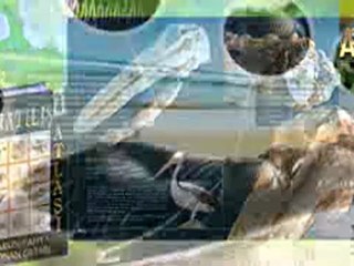 YARATILIŞ ATLASI 4. CİLT EVRİMCİLERİ KIZDIRMAYA DEVAM EDİYOR