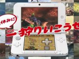 Monster Hunter 3G - Pub 14