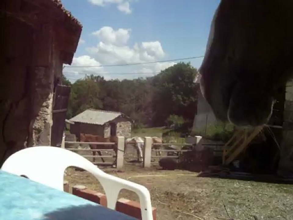 terri21.7.2012 014