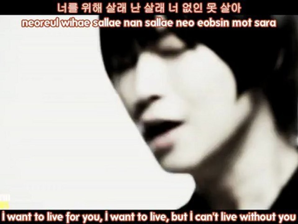 (MafiaSubs) [111027] The Boss - Lady MV