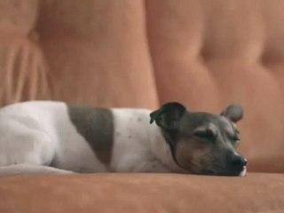 Sudan Sebep (Emir) - www.elektrosokcihaz.net -