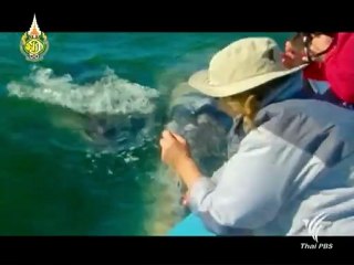 ท่องแดนธรรมชาติ - เม็กซิโก 21Jul12