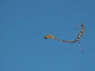 Festival international de Cerf-Volant à Auxerre