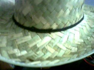 le compagnon de route