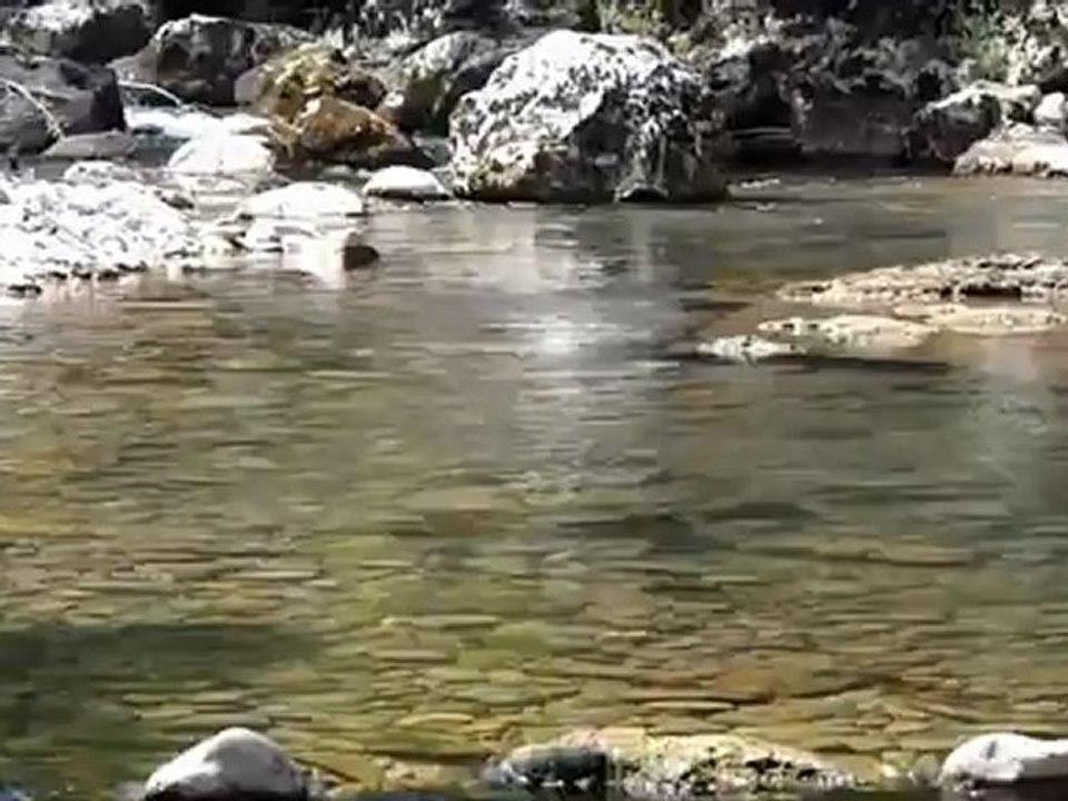 gobage sur l'hyere
