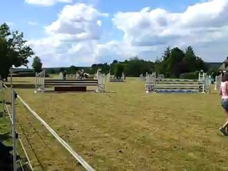 THE GOLD FOX - AUVERS ST GEORGE