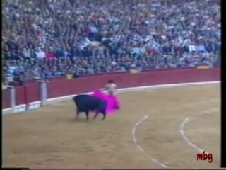 Jota de los Toros de Zaragoza