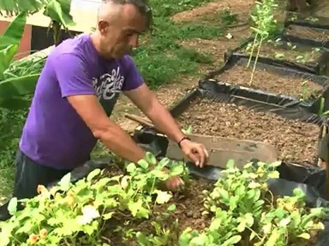 فنزويلا تتحول الى مزارع حضرية لتلبية الاحتياجات الغذائية