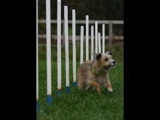 Fable Shelton Remembrance