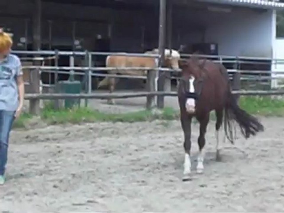 Feels like Home - Lavita