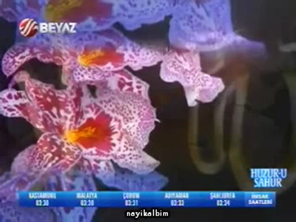 Sordum sarı çiçeğe Ramazan 2012 Beyaz Tv