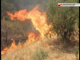 TG 18.07.12 Incendi: telecamere contro i piromani