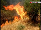 TG 17.07.12 Incendi in Puglia: fiamme a Vieste, paura per il parco del Pollino