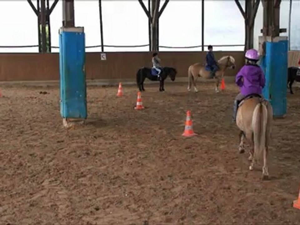 Lecon 4 : Au trot Jékyll !