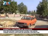 Zileye kanatlı hayvan bahçesi