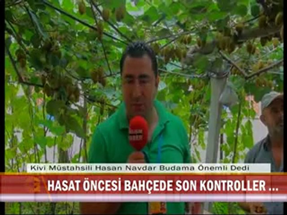 21-07.2012